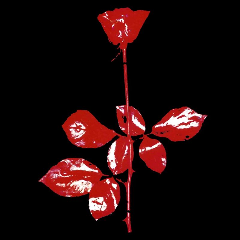 Flower Rose Violator Graphic