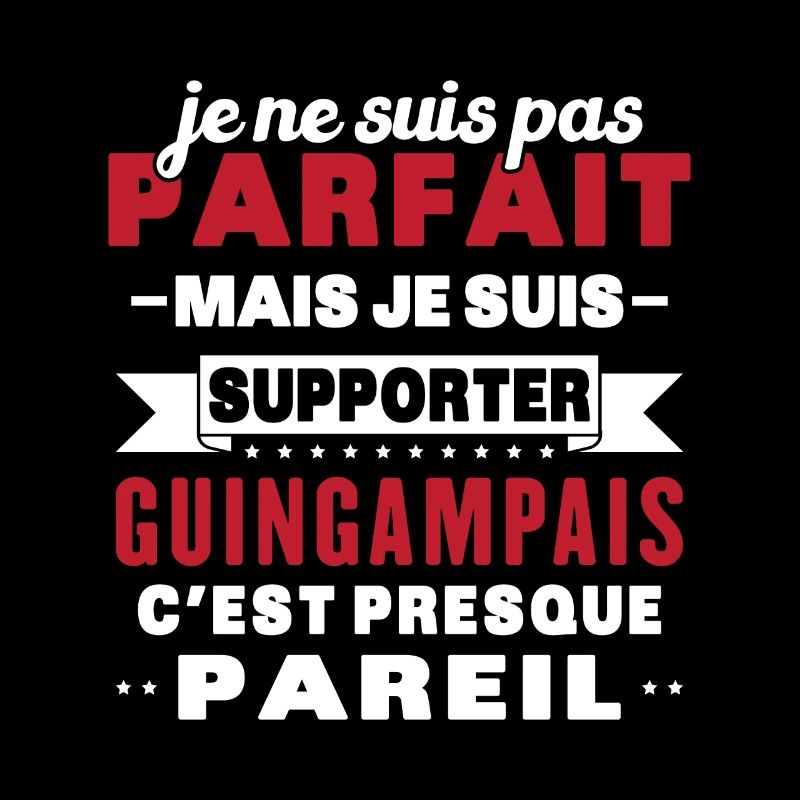 Nicht perfekt, aber ich bin ein Guingamp-Fan