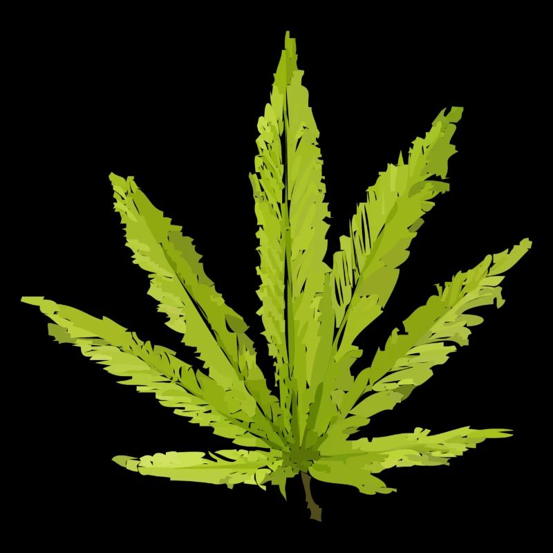 Feuille de chanvre
