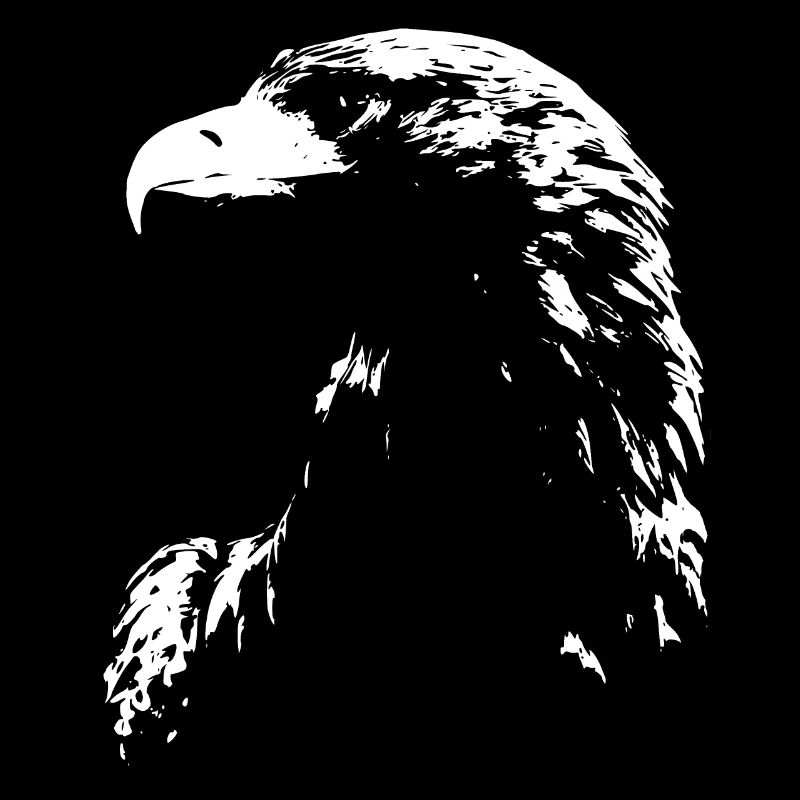 Aigle