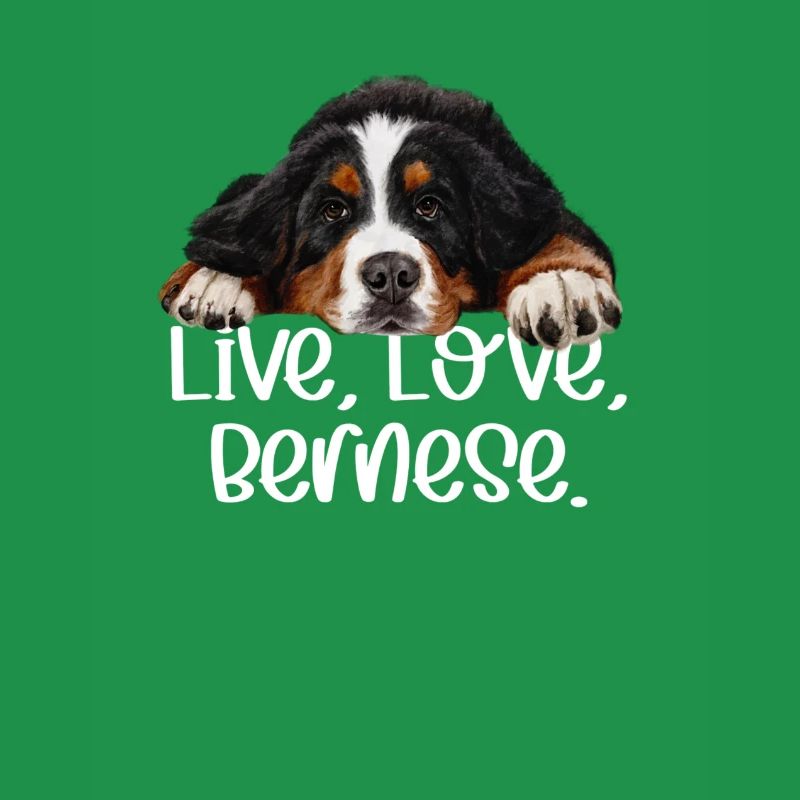 Bouvier bernois