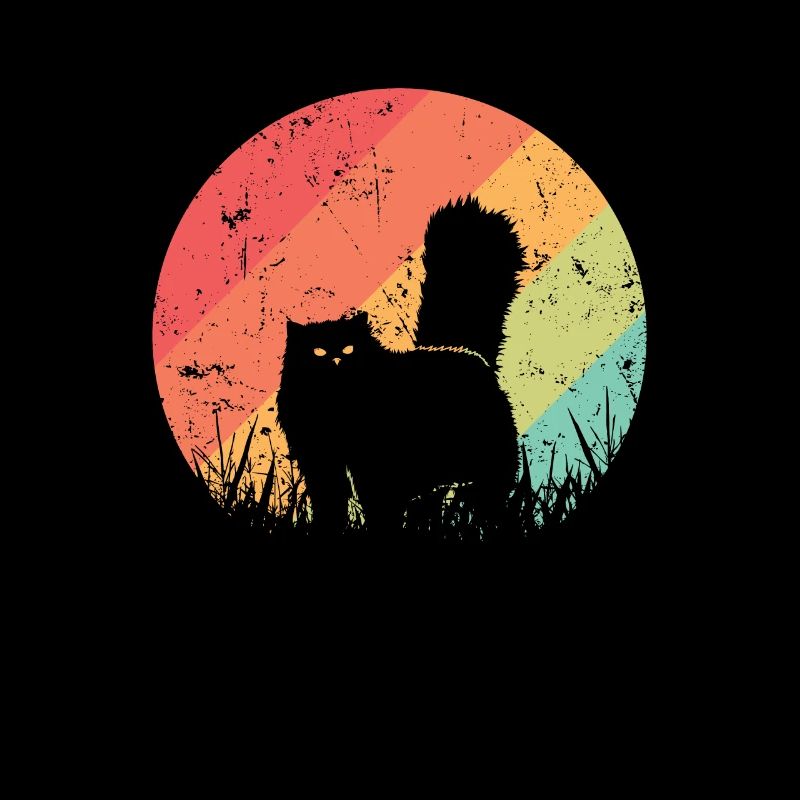 Chat persan Race d’animal de compagnie Chat domestique