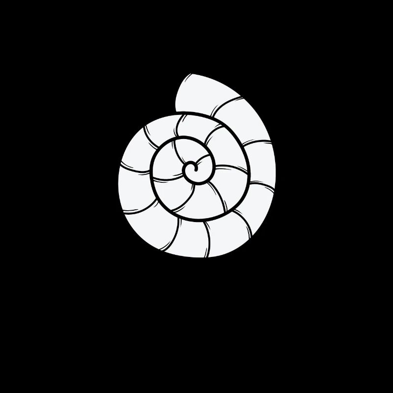 Snail Shell Spiral Snail