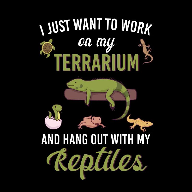 Reptilien Echse Bartagamen Gecko Geschenkidee