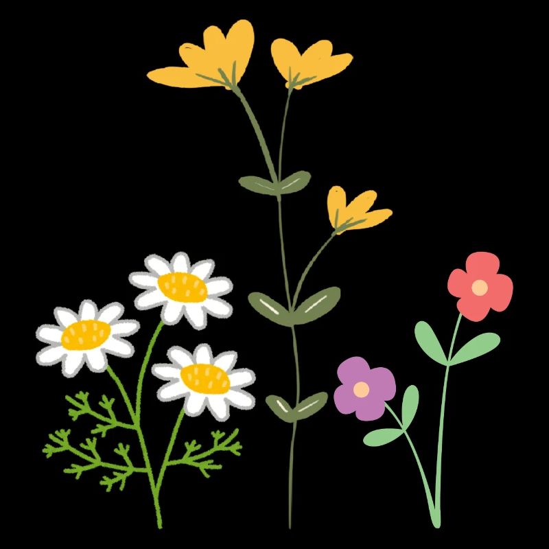 Fleurs Blumen