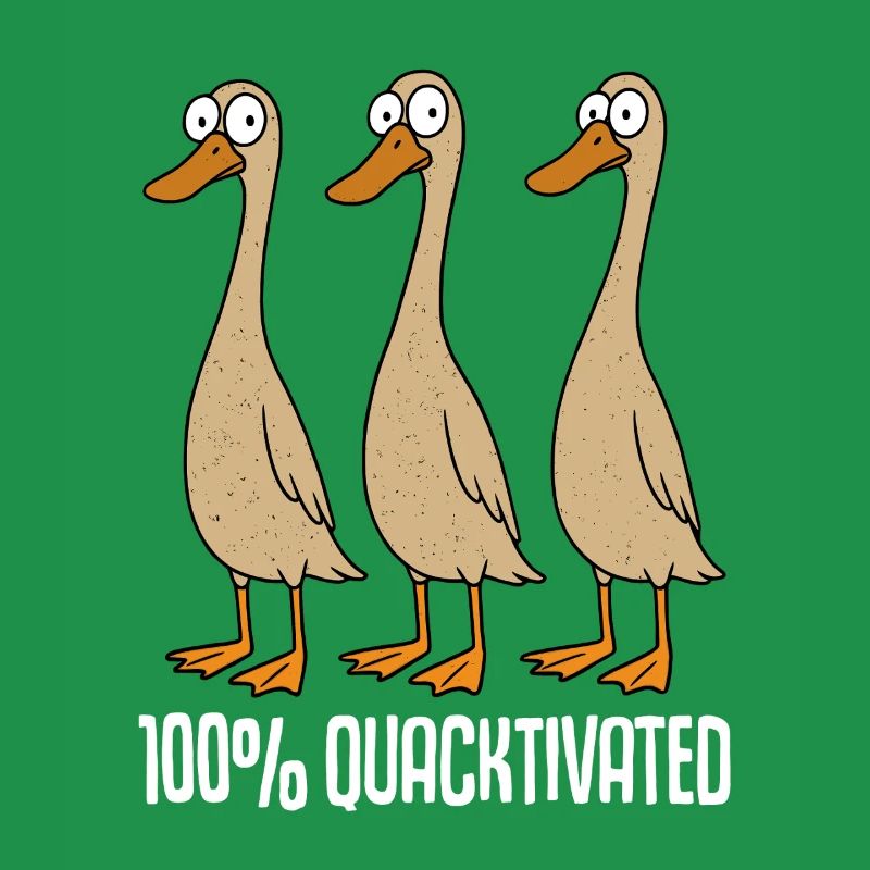 Running ducks keep runner ducks Breeding runner ducks