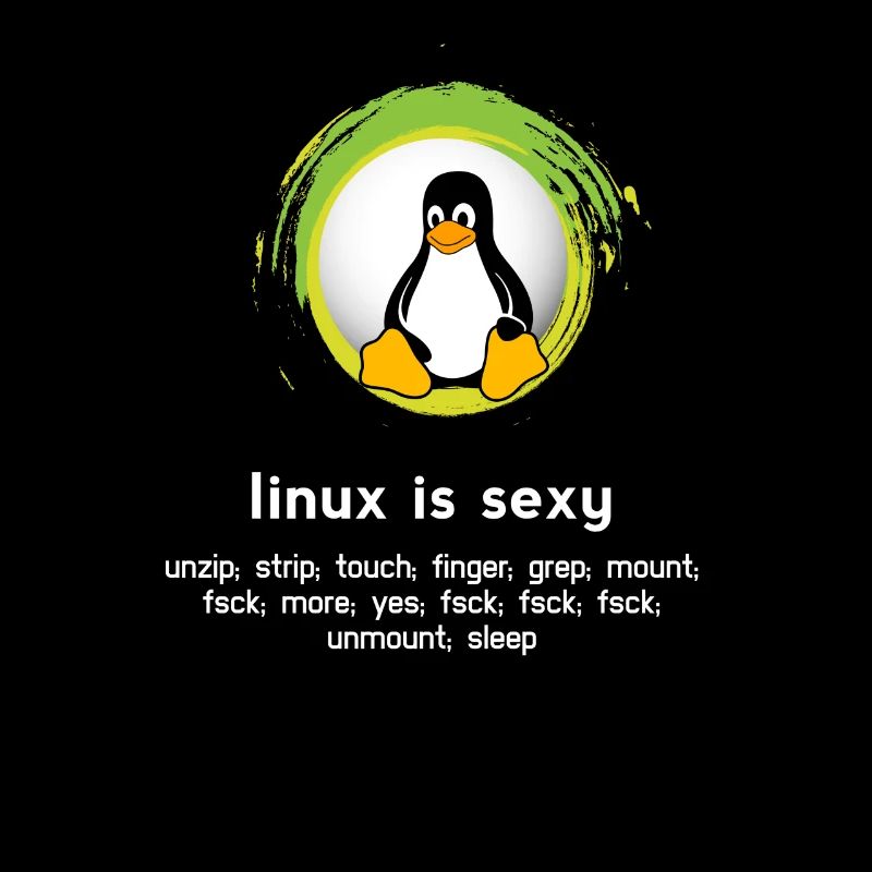 Computer System Penguin Nerd pc inside code admin