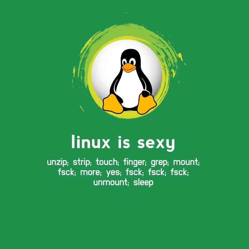 Computer System Penguin Nerd pc inside code admin