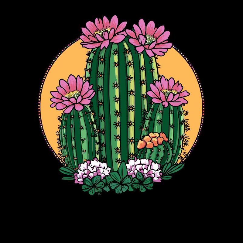 Cactus en fleurs au coucher du soleil
