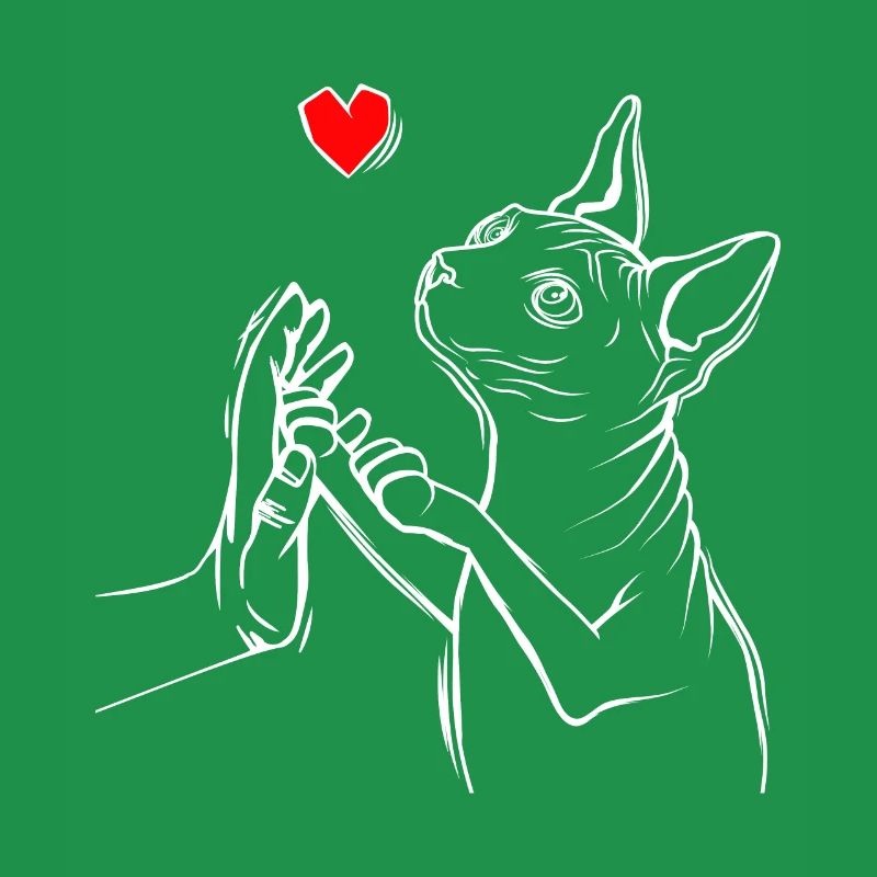 Sphynx Chat Amour Sphinx Chat Nu
