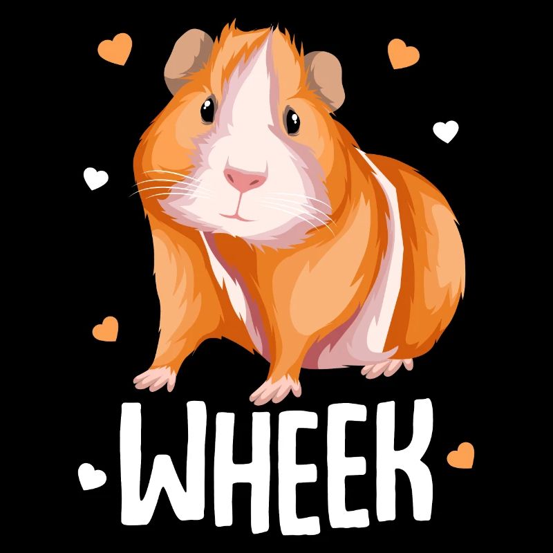 Cochon d’Inde Wheek Cochon d’Inde