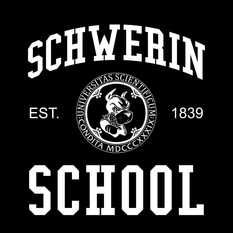Schwerin School Universität Schule Uni University