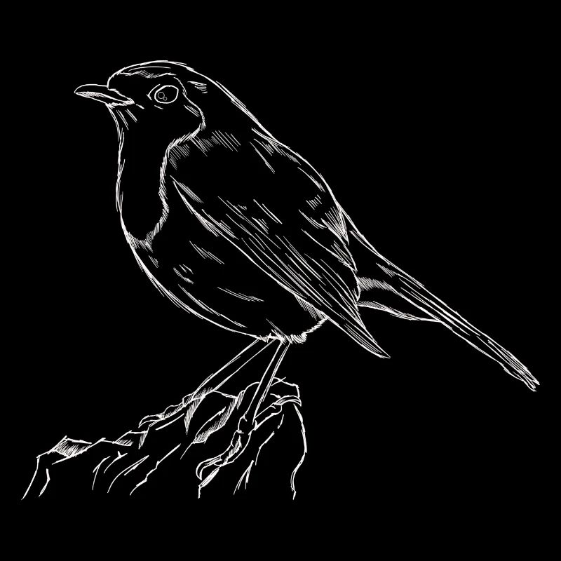 Das Rotkehlchen Singvogel Naturschutz