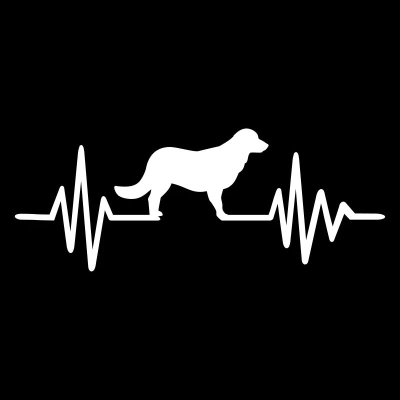 Flat Coated Retriever