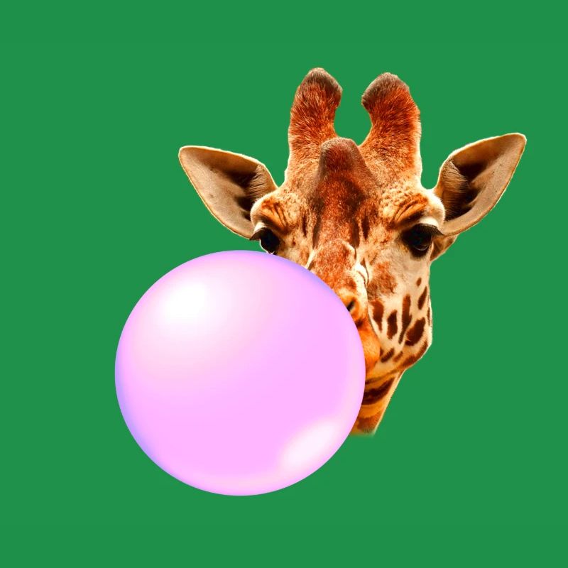 Giraffe With Chewing Gum