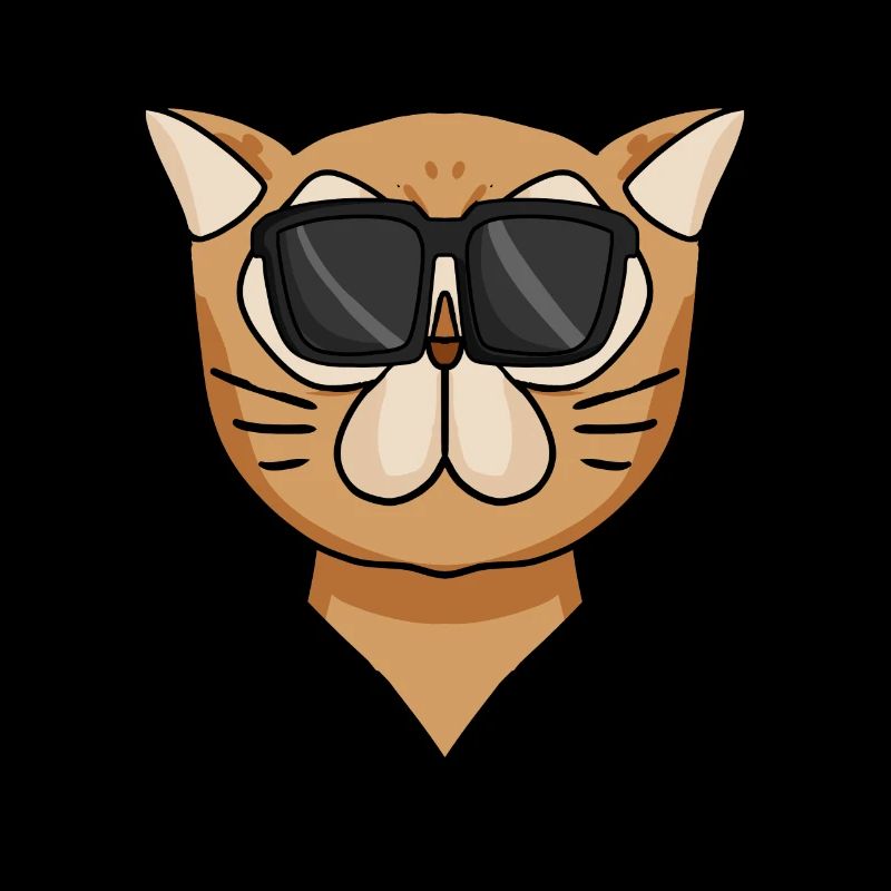Coole Perserkatze Katzenrasse Katze