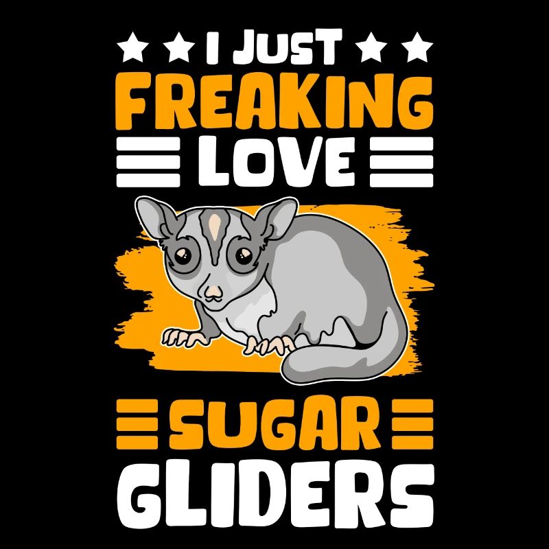 Sugar Glider Mignon Short-head Glider Cadeau