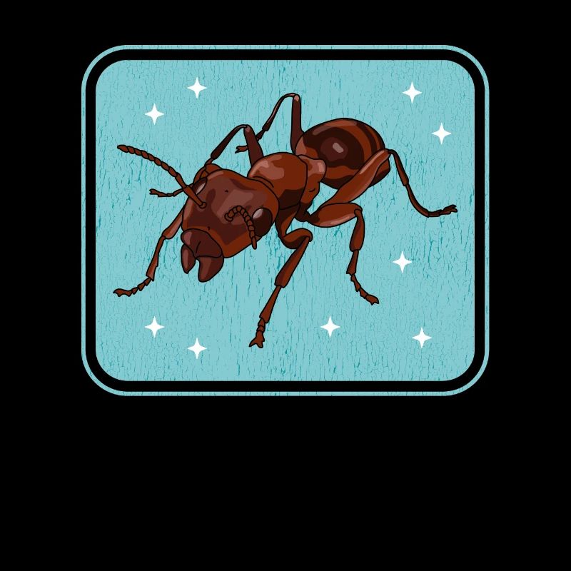 Fourmis Ferme Fourmi Formicarium Cadeau
