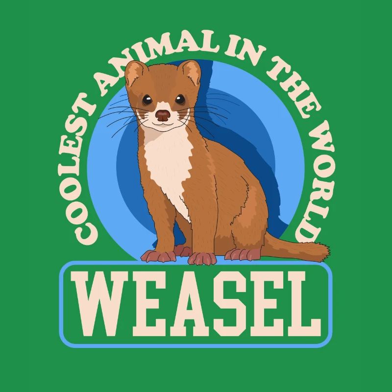 Weasel Mouse Weasel Hermännchen Gift