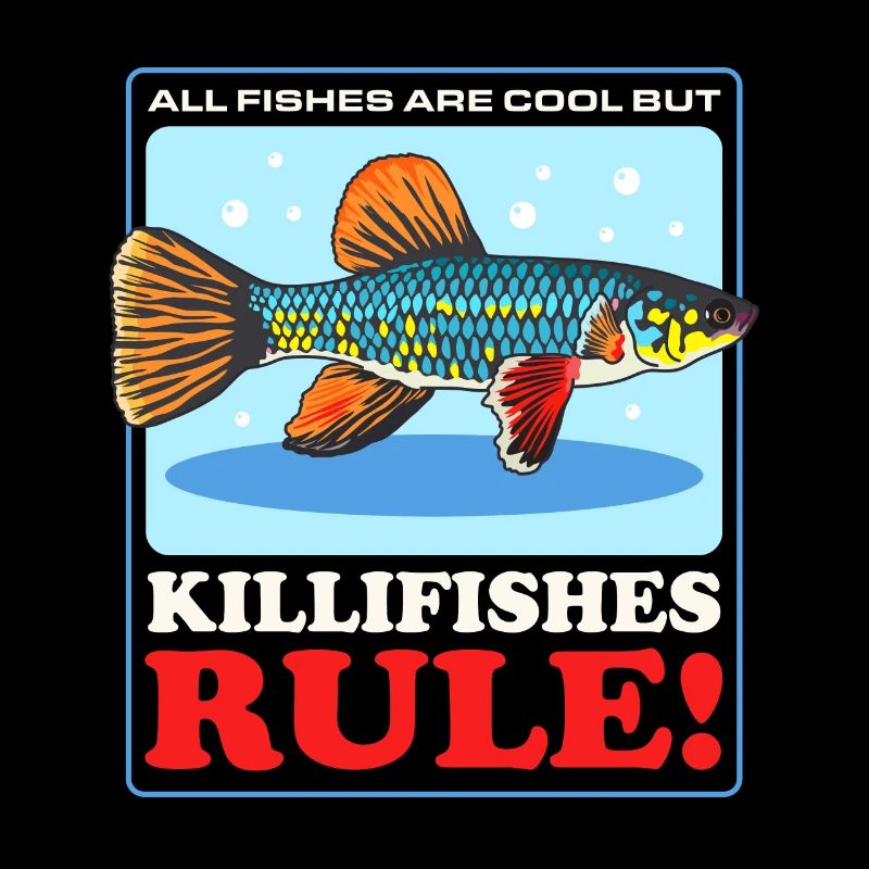 Killifish Eierlegende Zahnkarpfen Geschenk