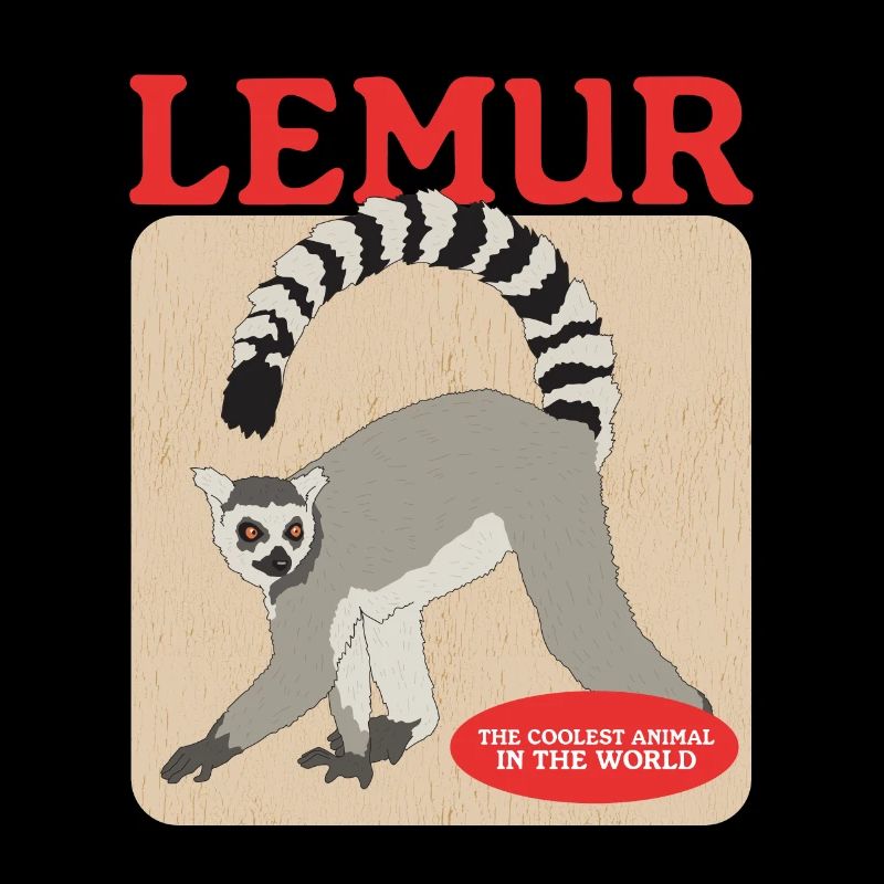 Lémurien, lémurien à queue bouclée, créature annelée, cadeau