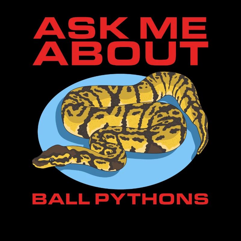 Königspython Python Schlange Geschenke