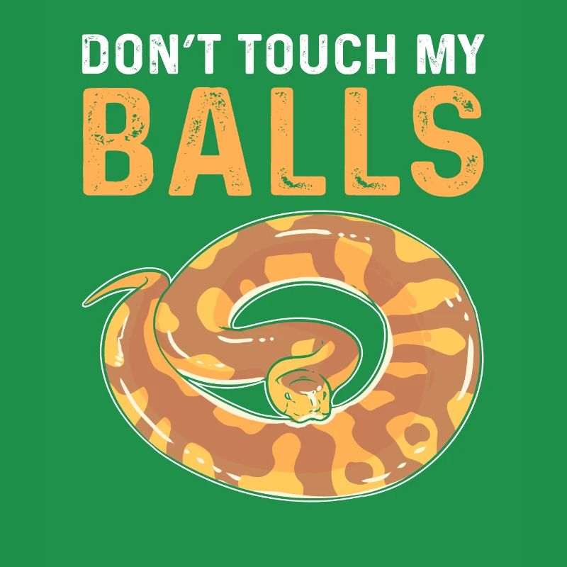 Ne touchez pas mes œufs. Royal Python