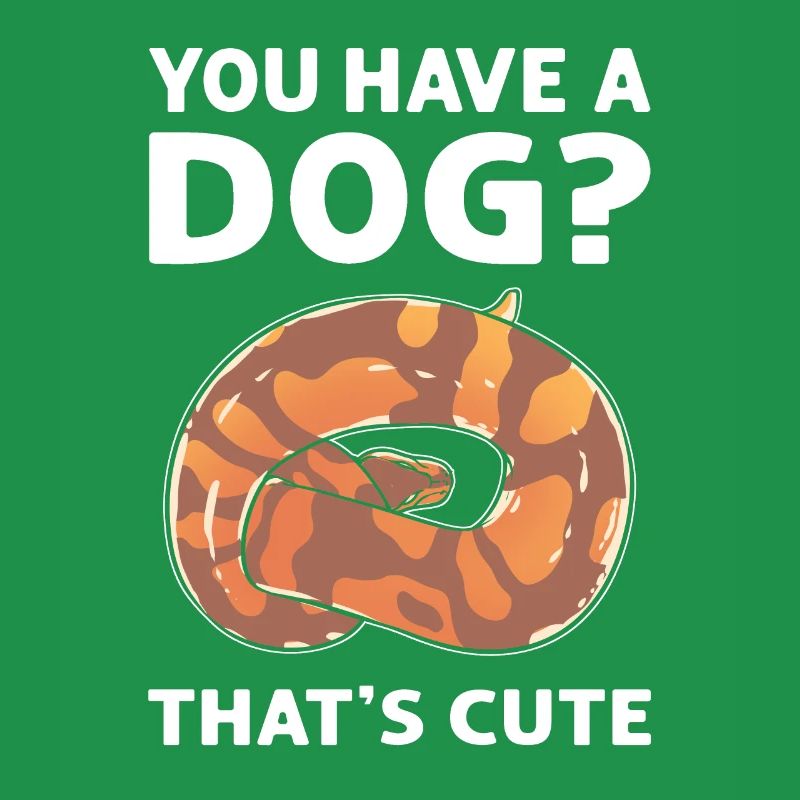 Avez-vous un chien? Mignon! Royal Python