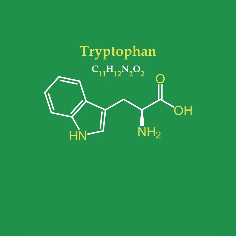 Tryptophan molecule