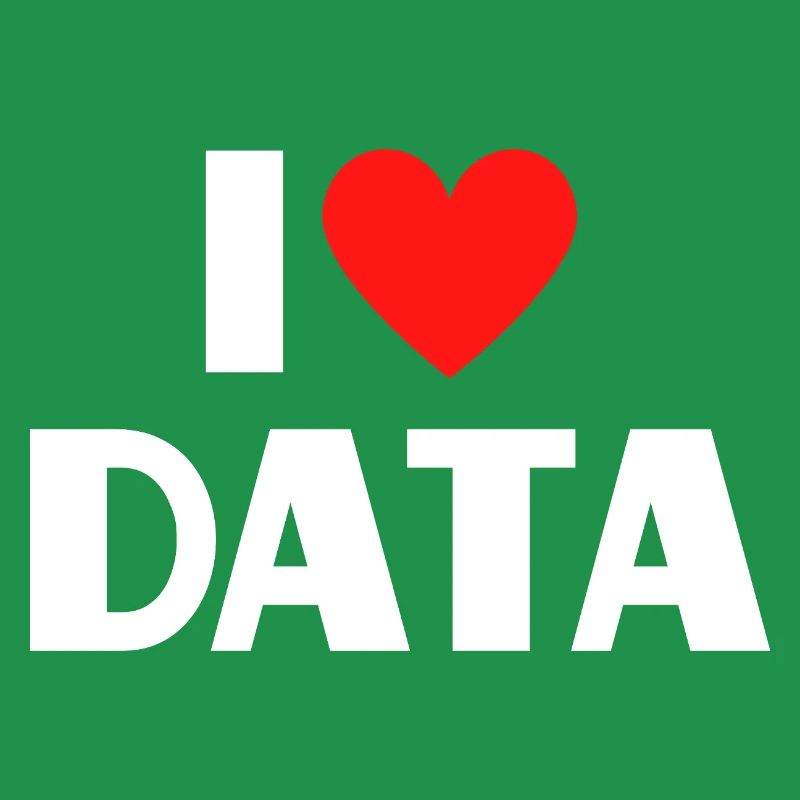 Ich liebe Daten Lustiger Computer Nerd Spruch