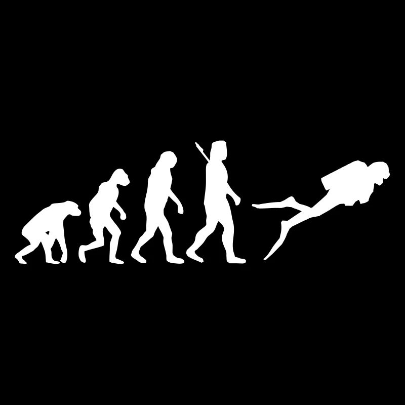 Evolution Tauchen