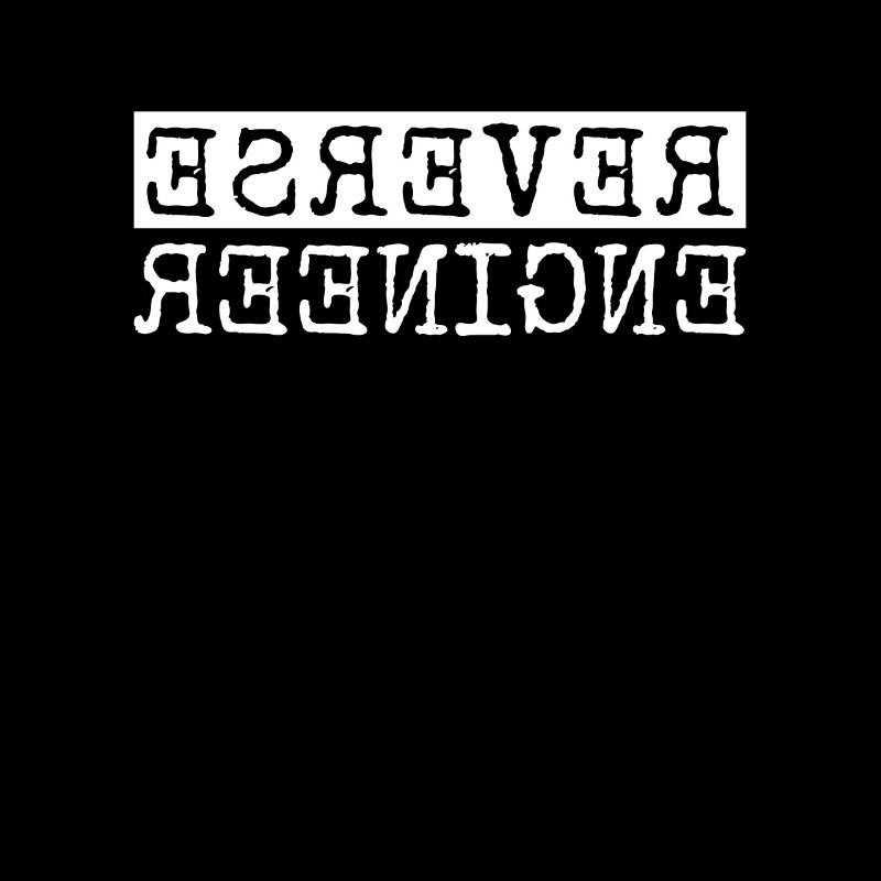 Reverse Engineer Software Engineer Developer