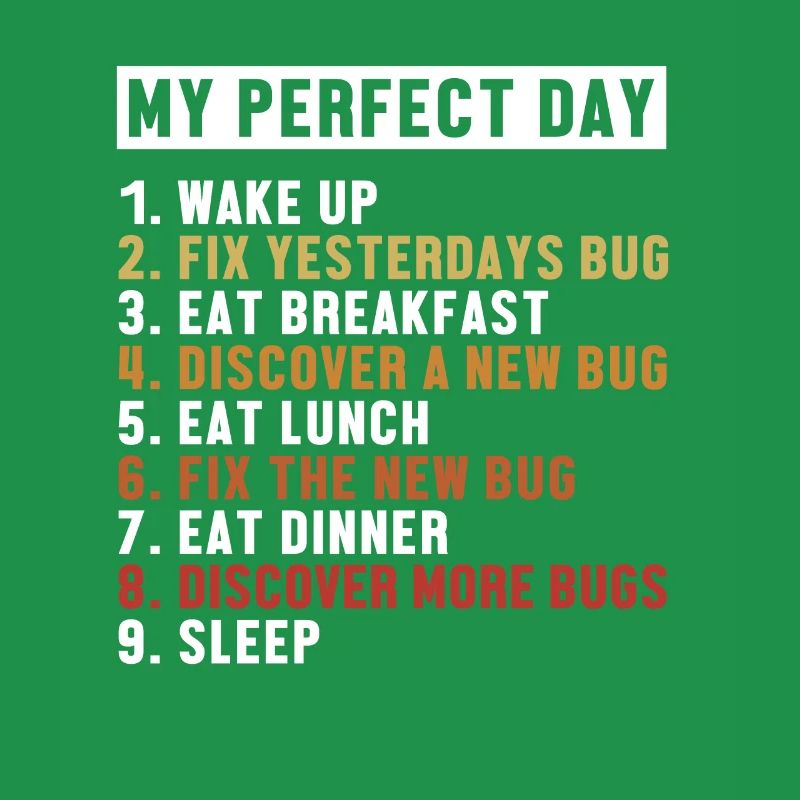 Fix Bugs Perfect Day Developer Coder Programmierer