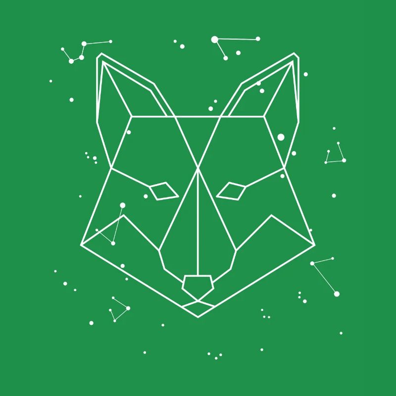 Sternbild Fox Constellation Caninae Red Fox