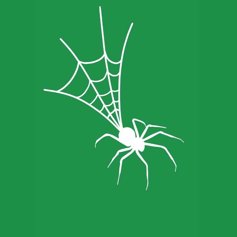 Spinne