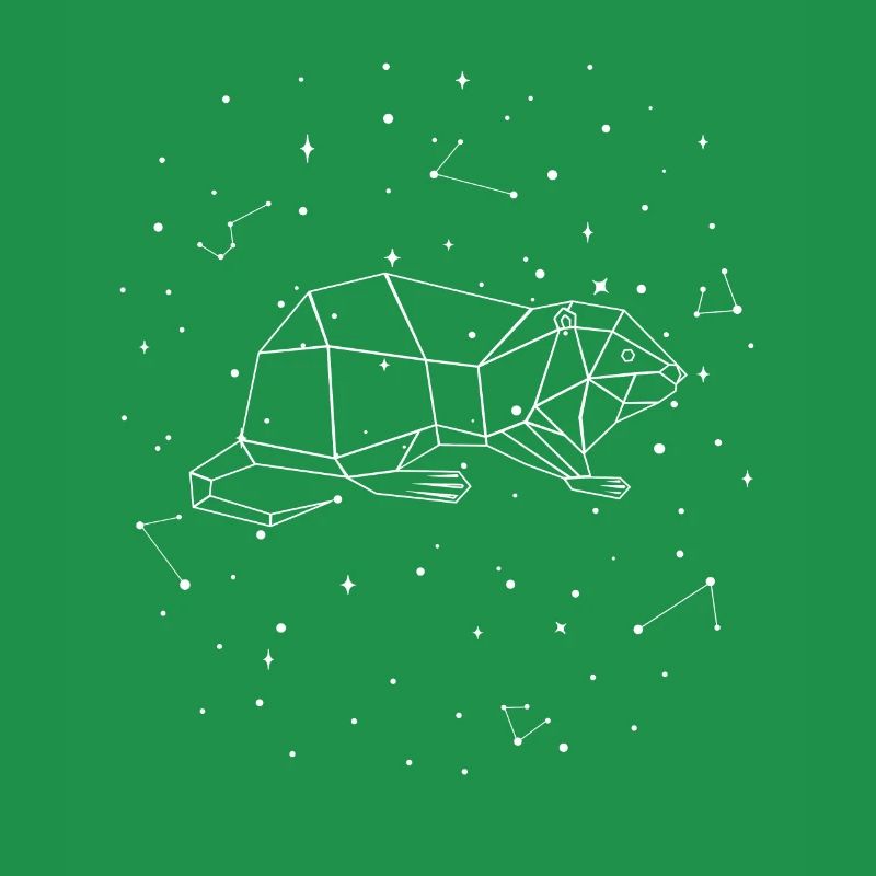 Sternbild Nutria Constellation Biberratte