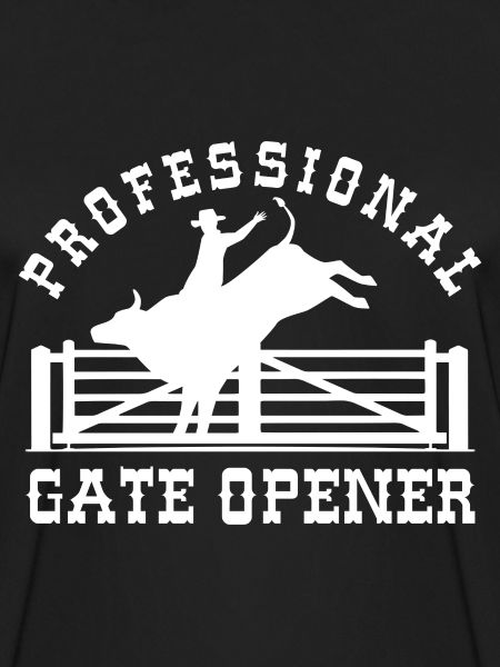 Professional Gate Opener
