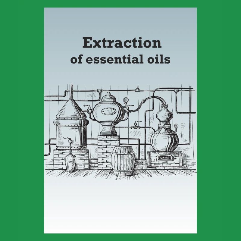 Extraktion von ätherischen Ölen