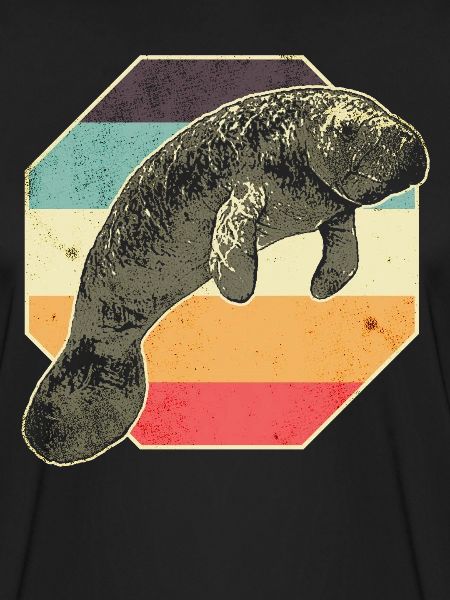 Manatee Manatee