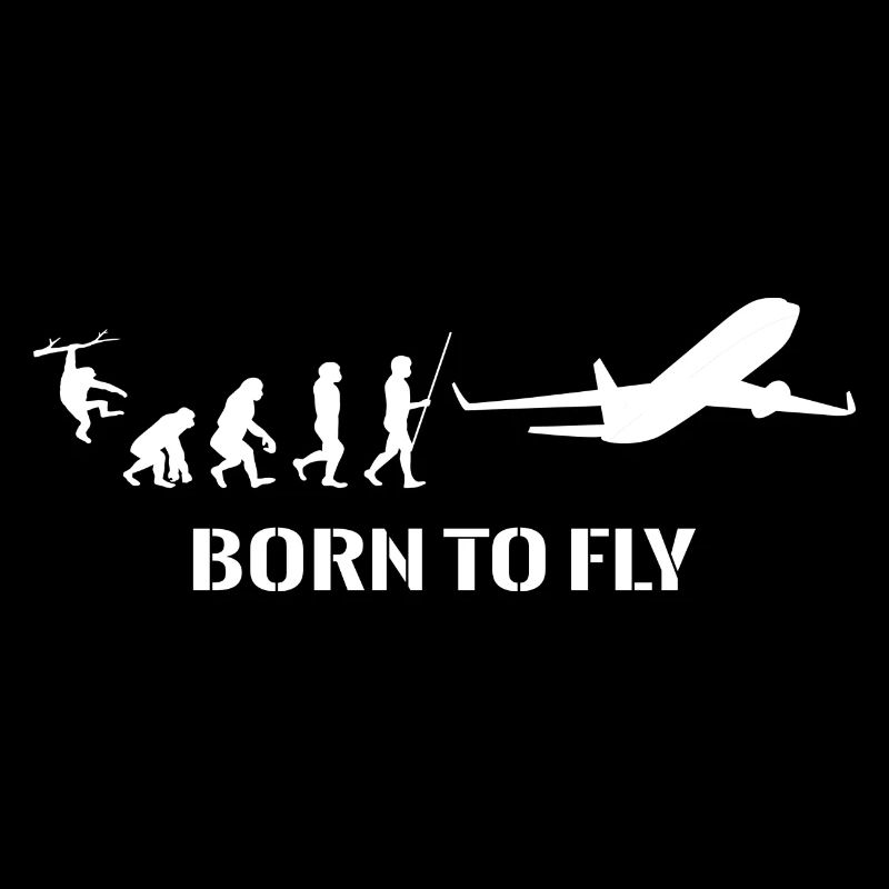 Évolution de l’avion Pilote Voler Voler