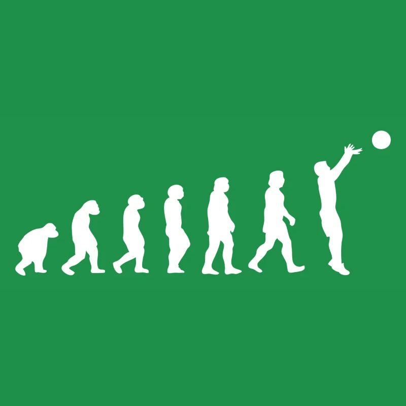 Basket évolution