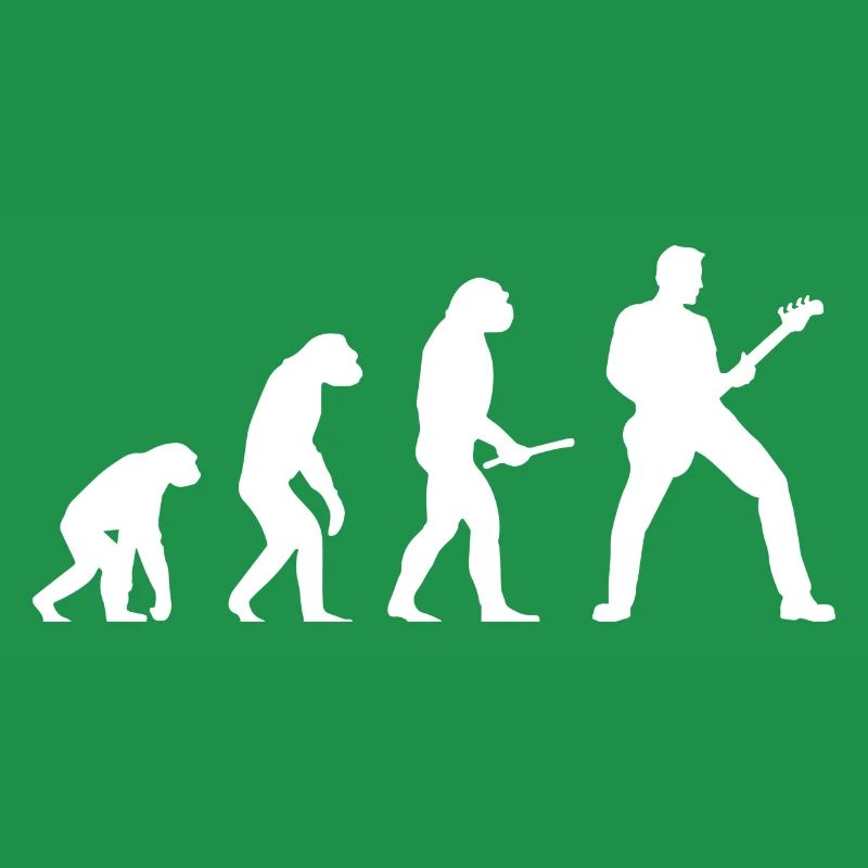 Guitar Evolution - Guitars Guitar Playercuteblacki