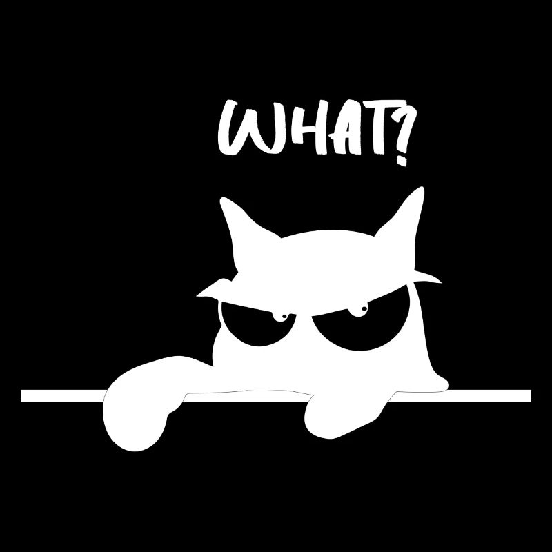 Drôle de chat