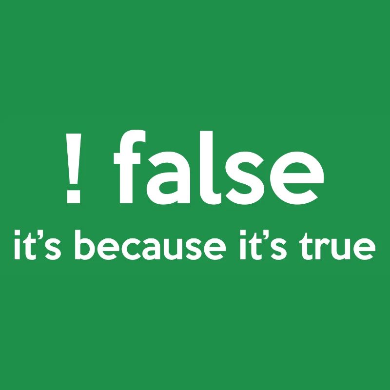 False It's Funny Because It's True Programmer Comp