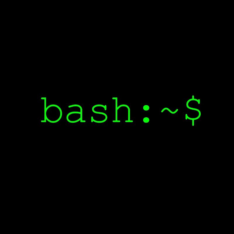 Console shell bash Linux