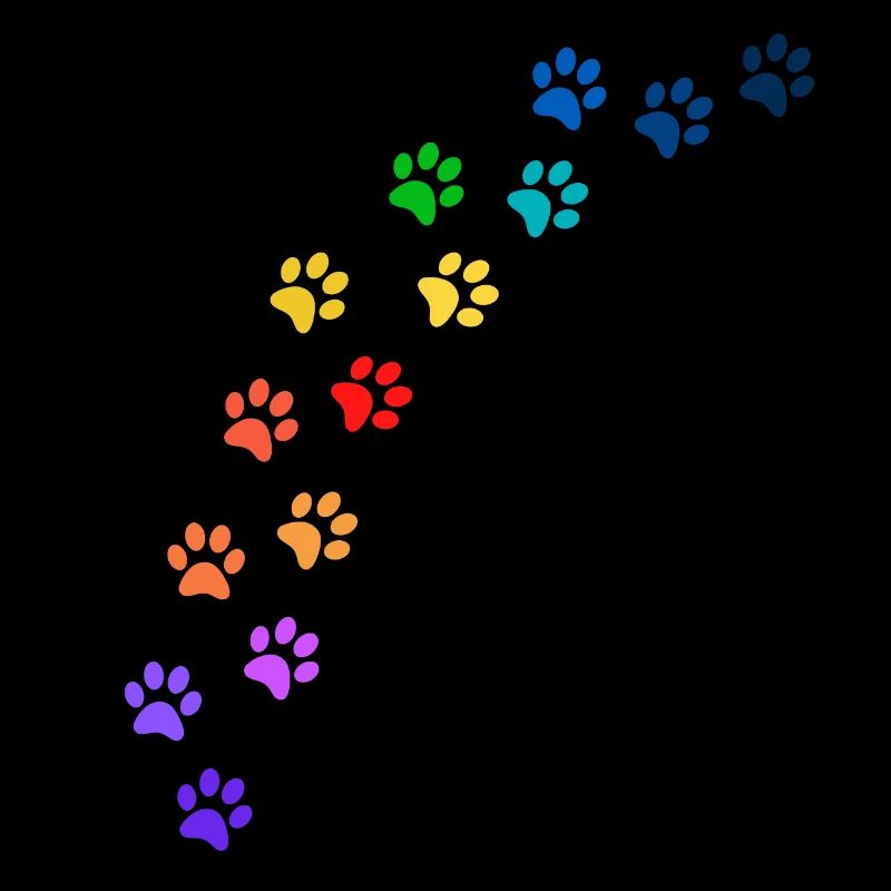 Bunte Tatzen von Hunden oder Katzen | Regenbogen