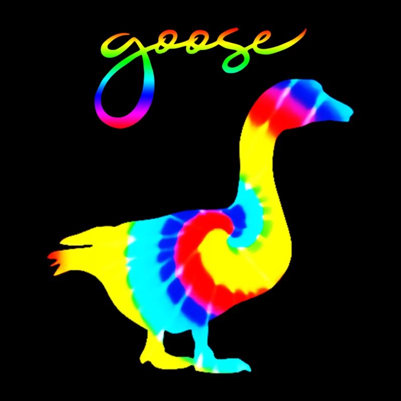 goose rainbow