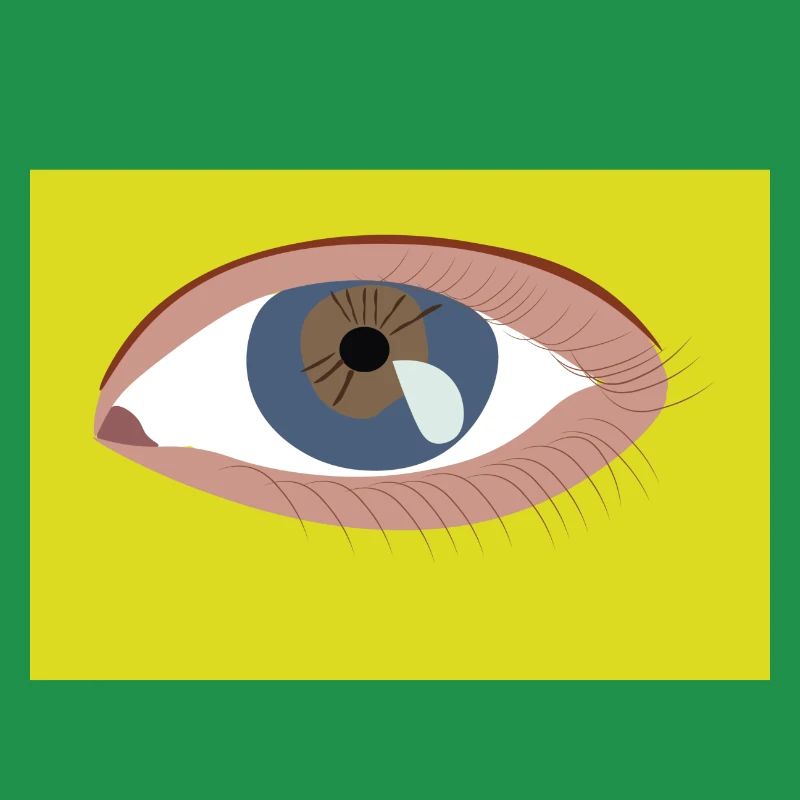 Oeil
