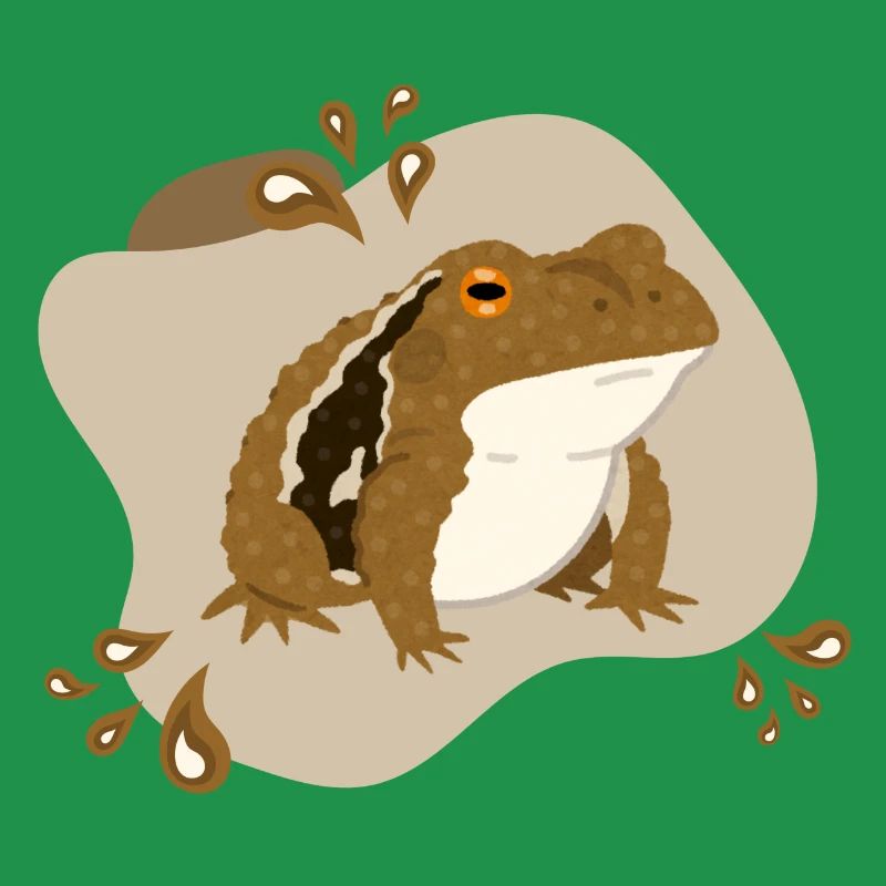 Toad