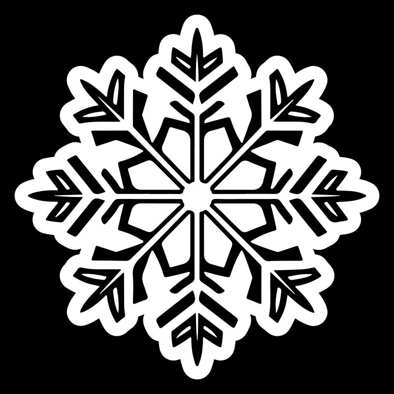 Snowflake Snow Icon
